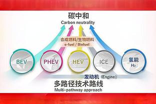 五大联赛抢断成功率排名：维尔特曼居首，贝林厄姆第四